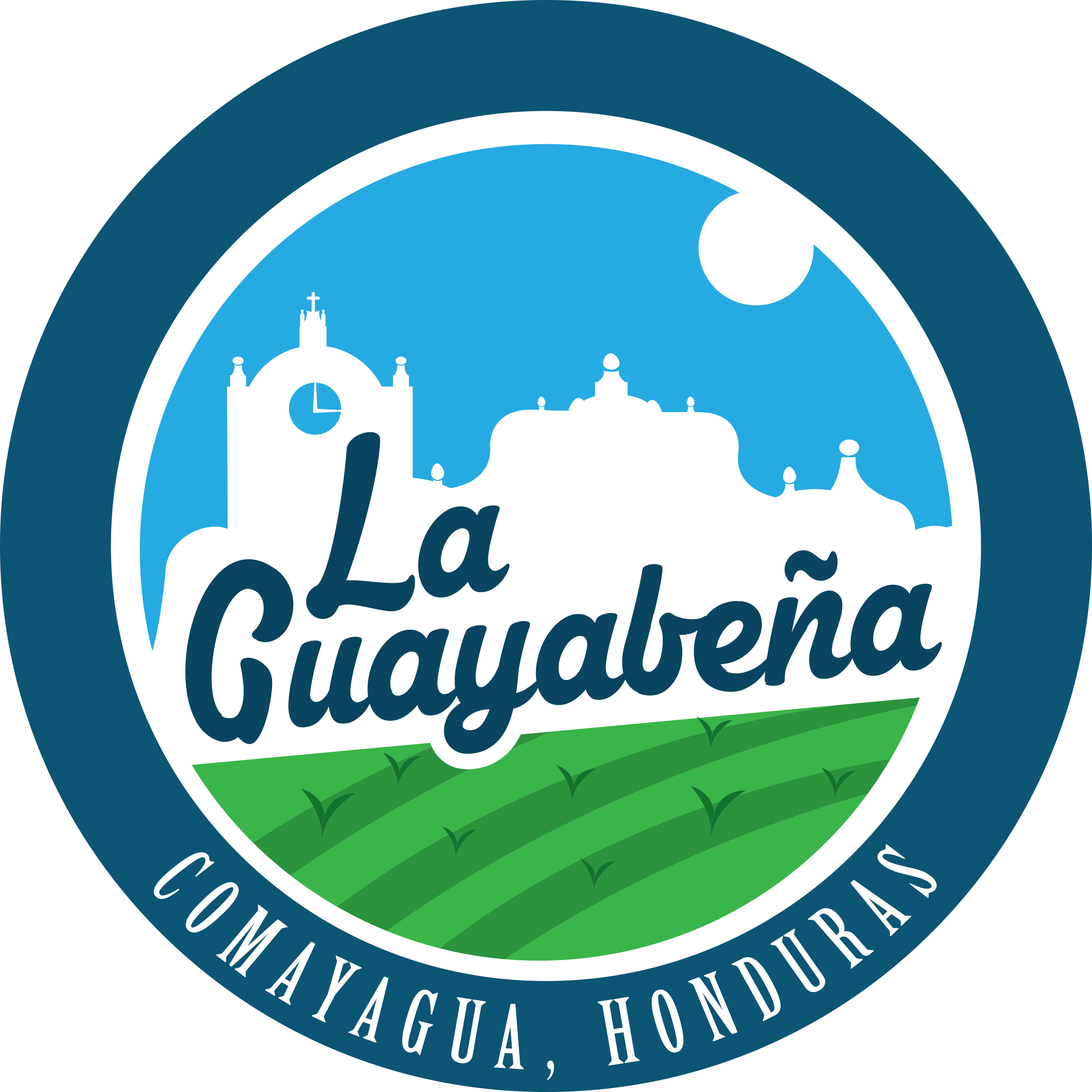 Logo - Logo_La_Guayabeña.jpg