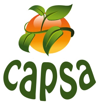 Logo - capsa.jpg