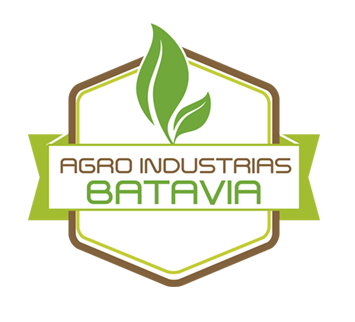Logo - logo3-batavia.png