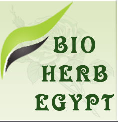 Logo - bio.jpg