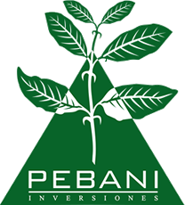 Logo - PEBANI INVERSIONES S.A