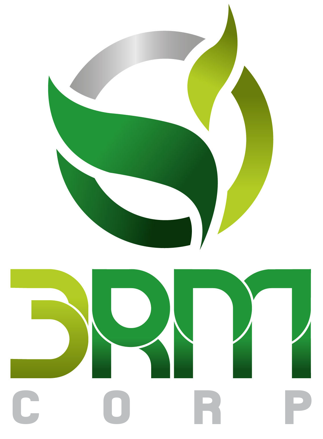 Logo - 3RM CORP