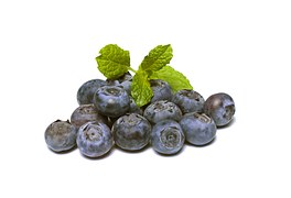 Cranberry Biloxy - INTIPA FOODS S.A.C
