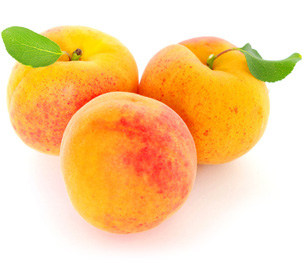 Apricot - Global Hmg Sat 9997