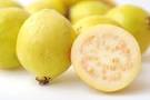 Guava - Brazilian Fruits Exports