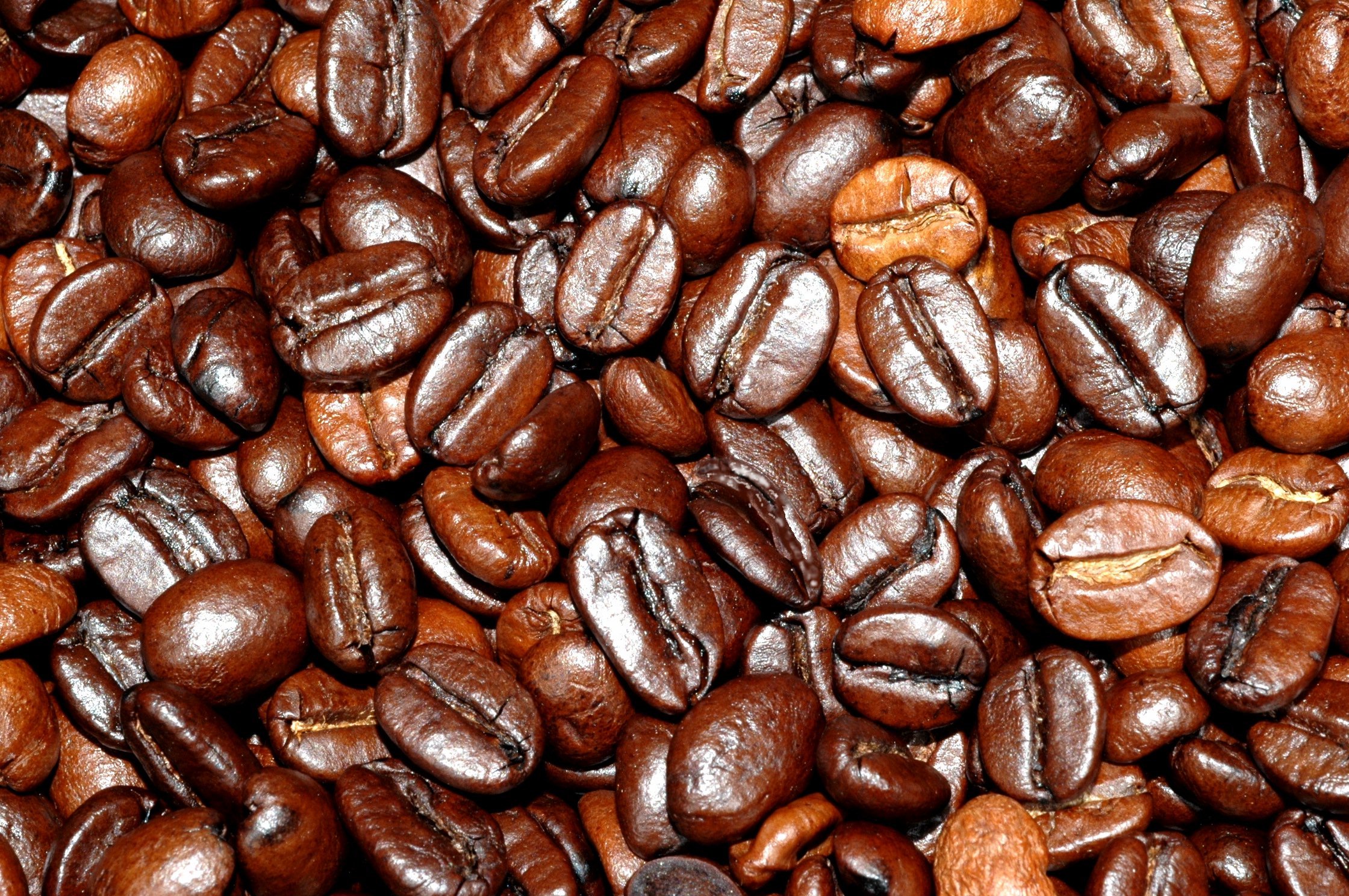 Coffee - Agro Velázquez Produce