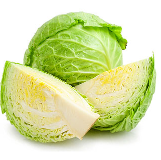 cabbage - Frische aus Westfalen GmbH