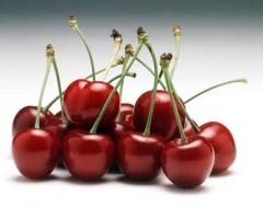 Cherries - Interfruct Tész Kft.