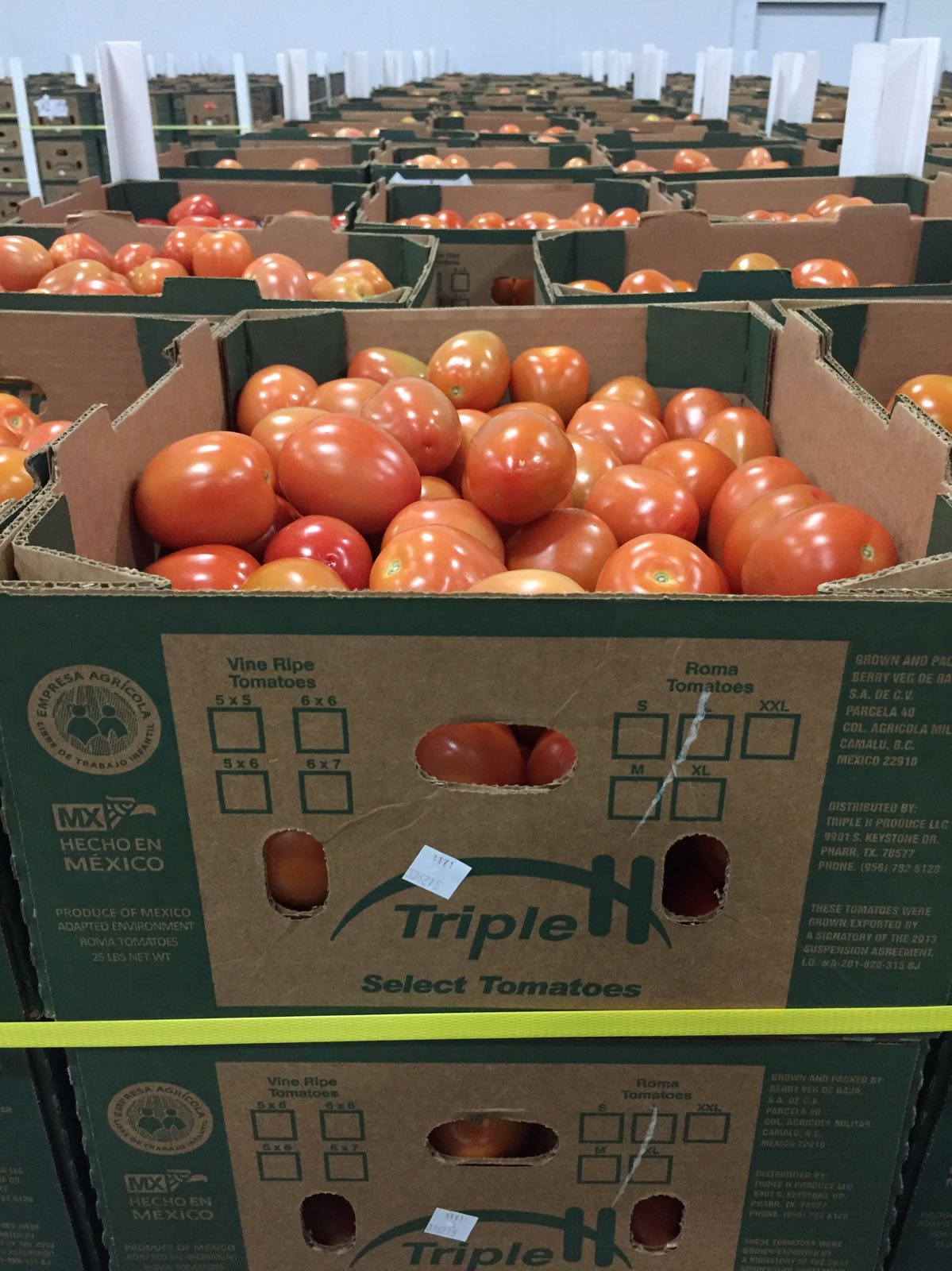 Tomato - Distribuidora Hormitex SA de CV