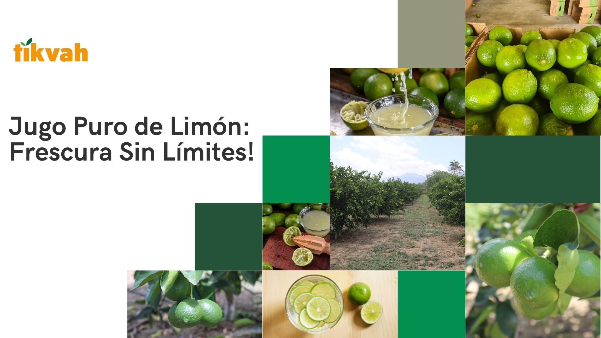 Lemon juice  - Exportadora Y Distribuidora Tikvah