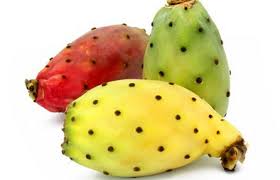 Prickly Pear Green - Agricultores Latinos Agrolatin