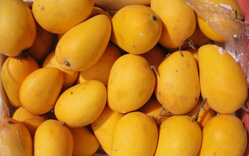 Mango Ataulfo - Fruits & Vegetables Ciro Redondo