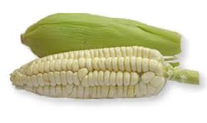 Corn - EXPORTADORA EL SOL S.A.C
