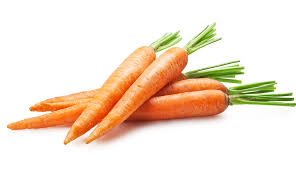 Carrot - AGRICOLTURA NUOVA - SOC. COOP. Agricola Integrata